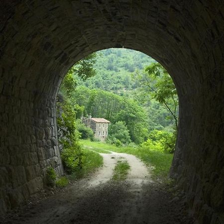 Villa Franka 113 Bašanija Kültér fotó