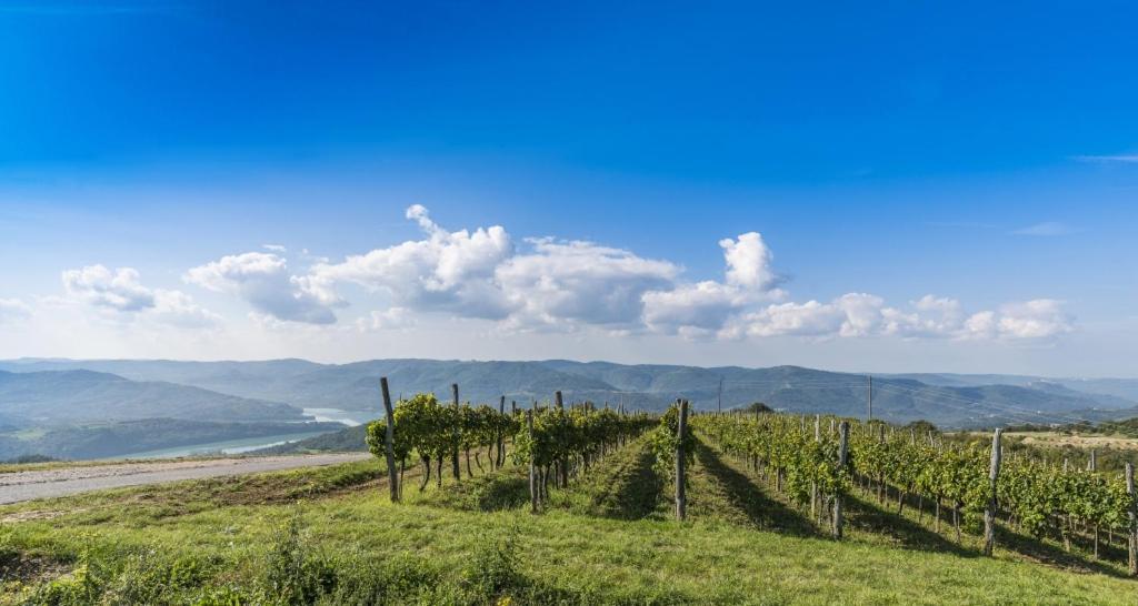 Villa Franka 113 Bašanija Kültér fotó